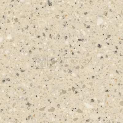 fossil